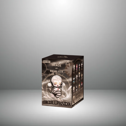 Pop Mart Skullpanda – Images of Reality Blindbox