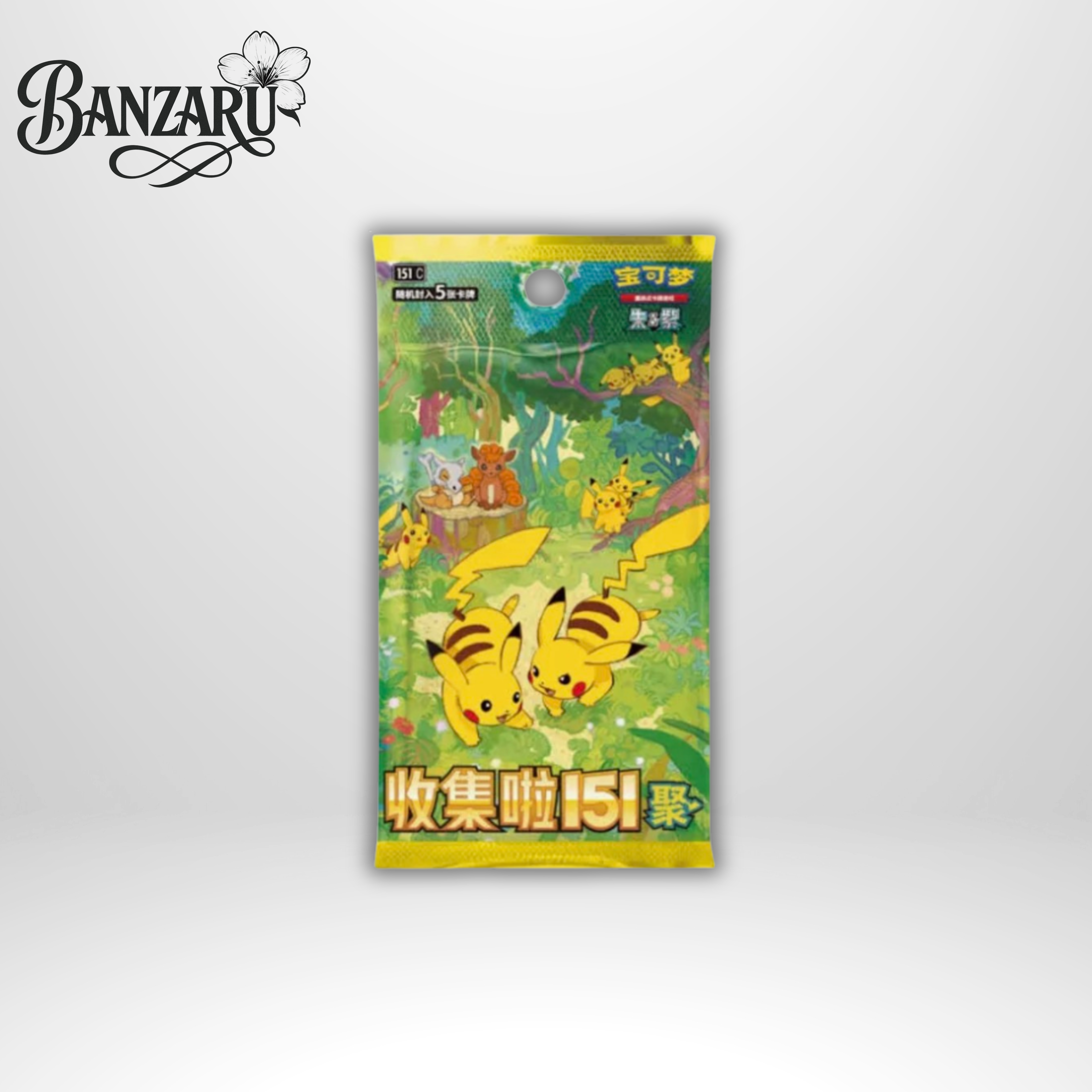 Pokémon Collect 151 Puzzle Fridge Magnet Set (CHN)